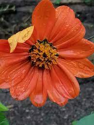 images 5
